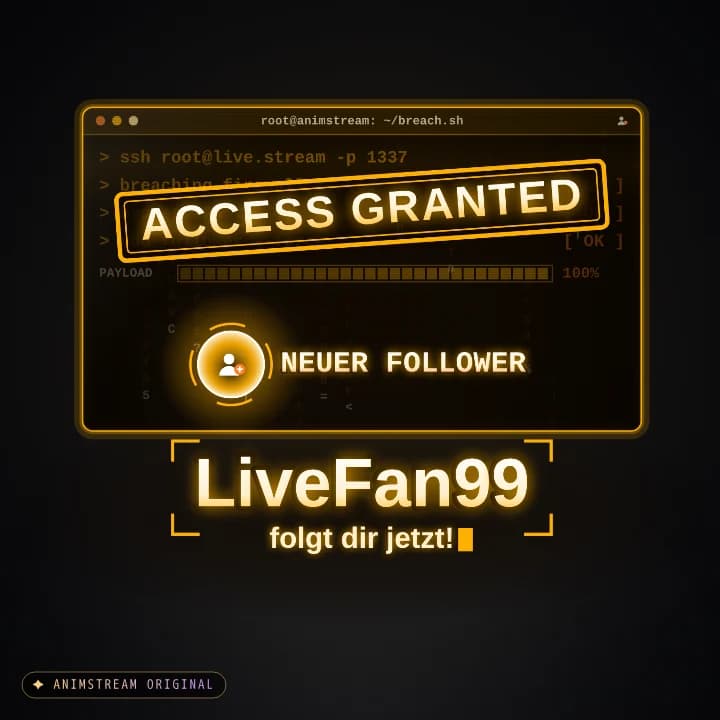 Neuer Follower Alert – System Hack Amber CRT