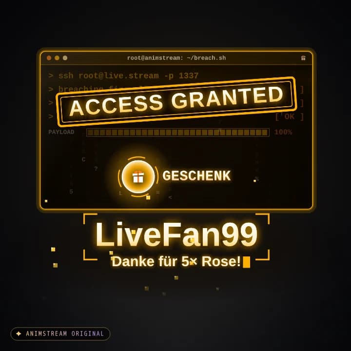 Geschenk-Danke Alert – System Hack Amber CRT