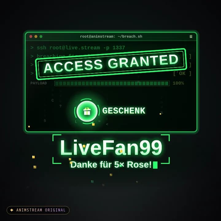 Geschenk-Danke Alert – System Hack Matrix · Grün