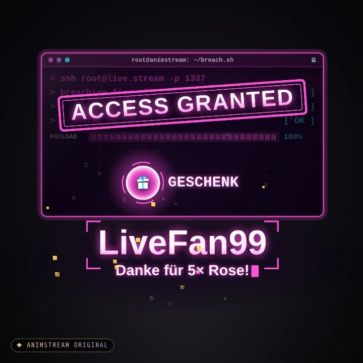 Geschenk-Danke Alert – System Hack Vapor · Pink-Cyan