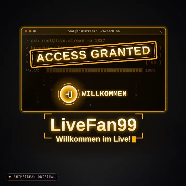 Willkommen Alert – System Hack Amber CRT