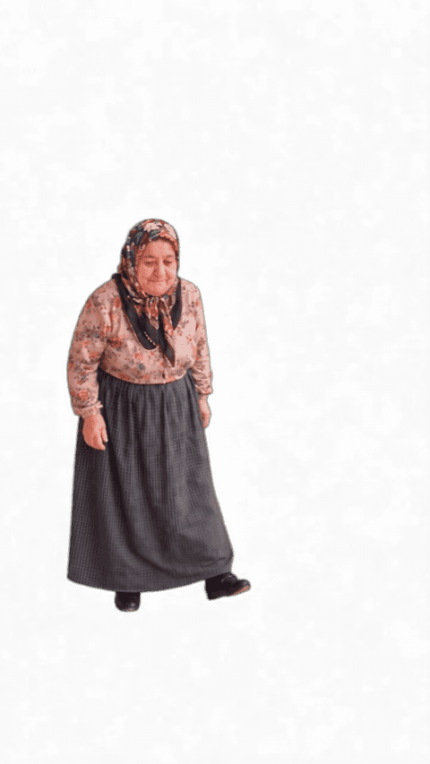 Ayse Dance