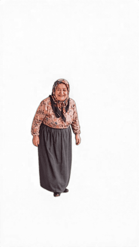 ayse heart