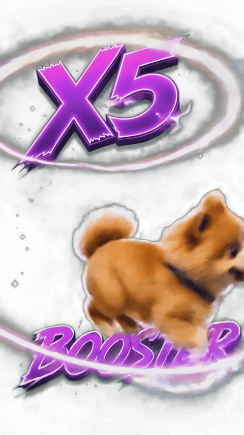 BOOSTER SWEET DOG