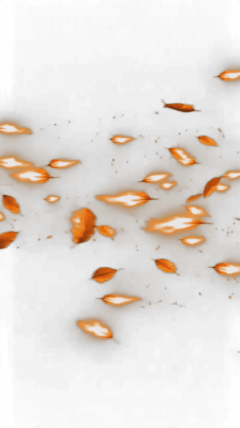 Snipe Alert – Inferno Blaue Flamme | AnimStream
