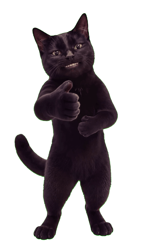cat 3