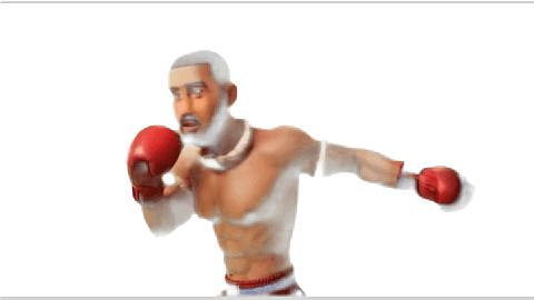 eLFitnas Boxing Gloves