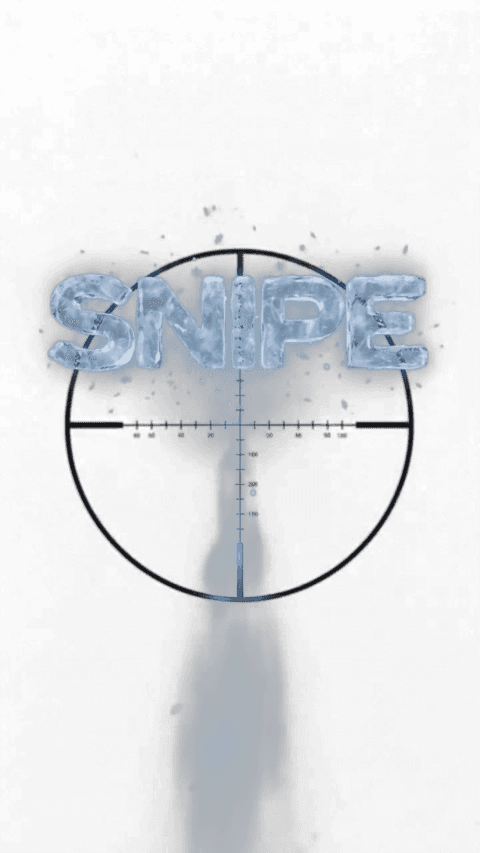 frozen snipe