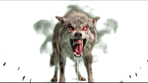 eLFitnas Halloween Wolf