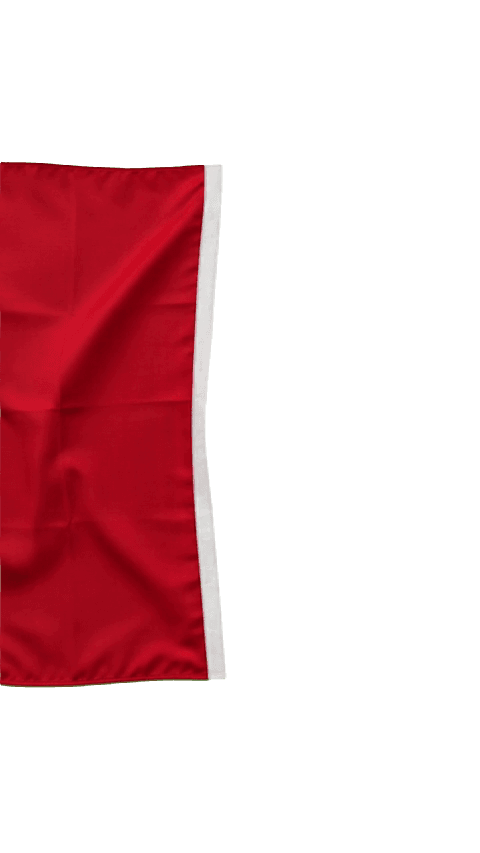 Italien Flag