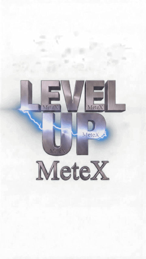 Level Up MeteX