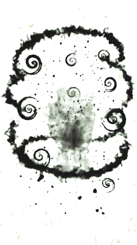 Phanter Glow