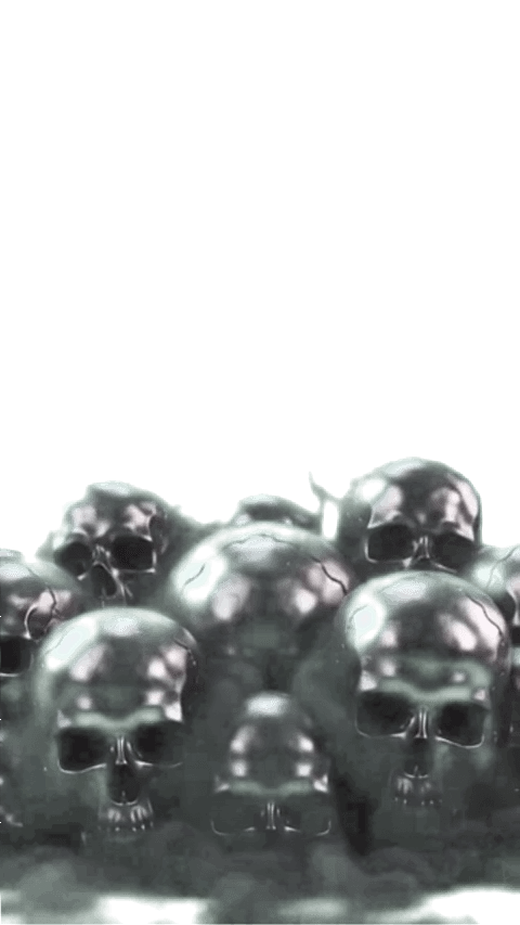 Skull X2