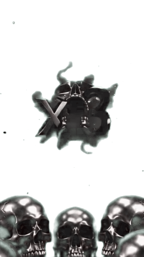 Skull X3
