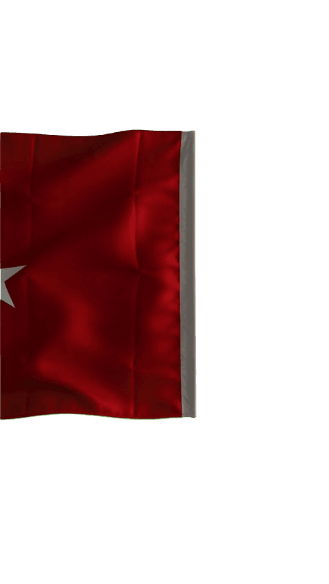 Türkiye Flag