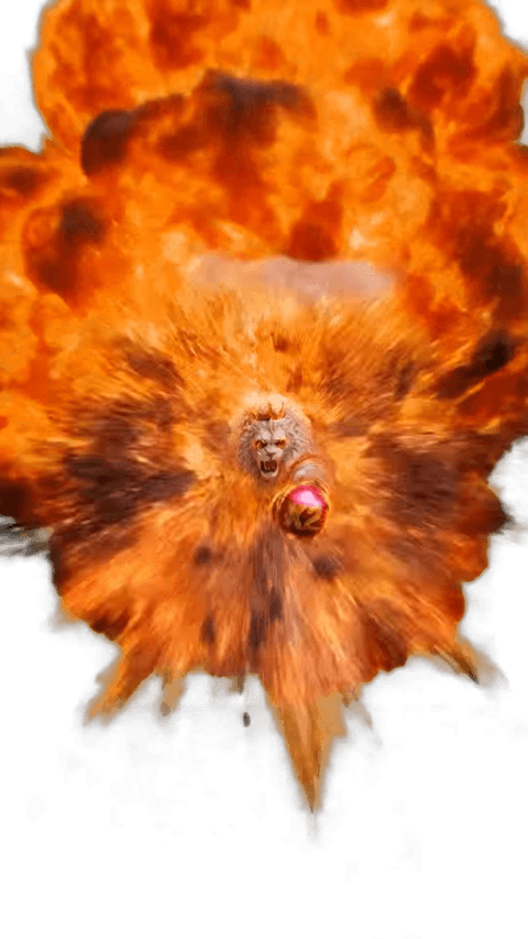 X2 Lion 3.0