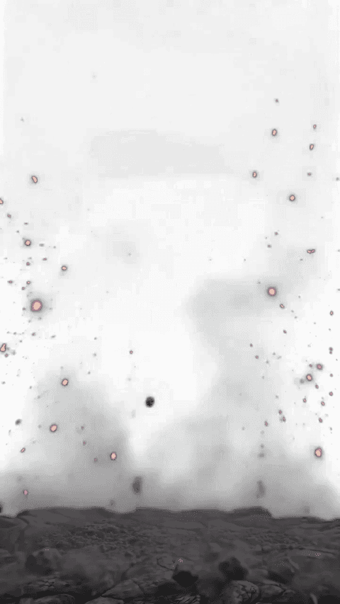 X3 Black Wolf