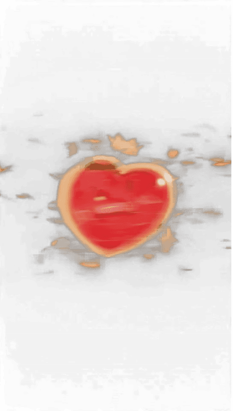 Gladiator Heart