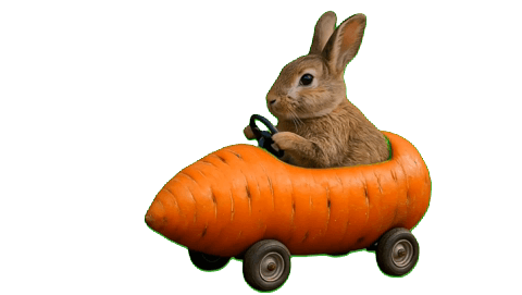 Hase