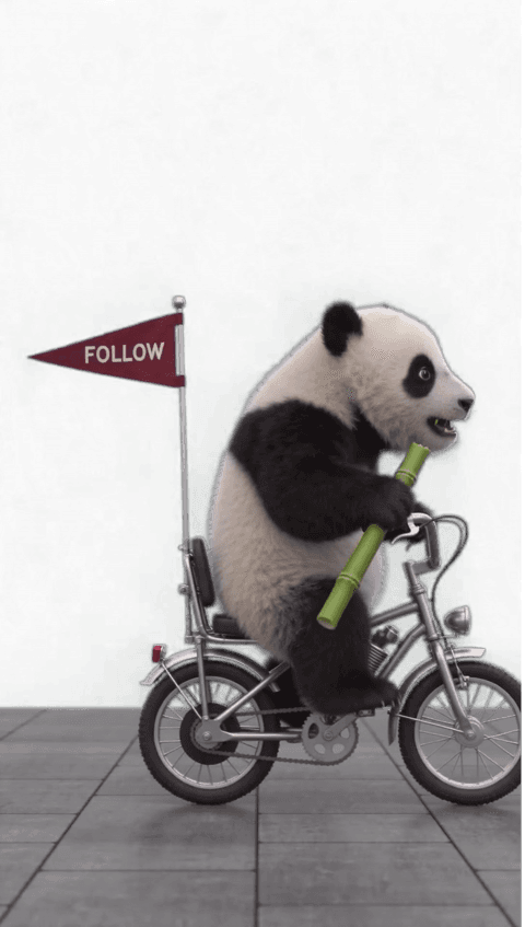 Panda Follow