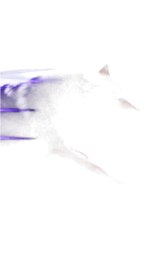 Wolf Speed Dash Alert | Chroma Key Stream Animation